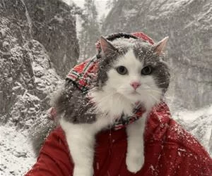 Out_In_The_Snow_s.webp