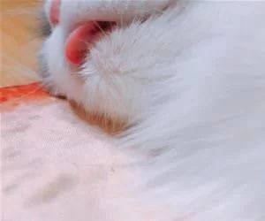 Passsssssed_Out_s.webp