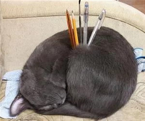 Pen_Holder_s.webp