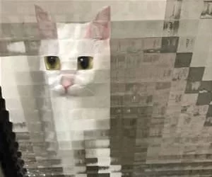 Pixelated_s.webp