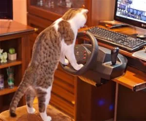 Playing_A_Game_s.webp