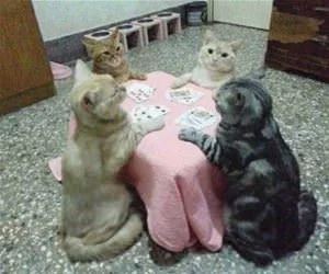 Playing_Some_Poker6258_s.webp