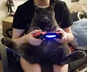 Playing_Video_Games_s.webp