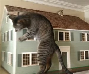 Playing_With_My_Doll_House_s.webp