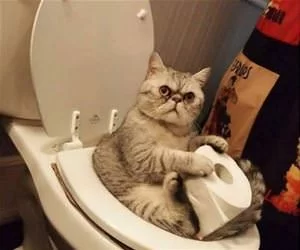 Privacy_Please_s.webp