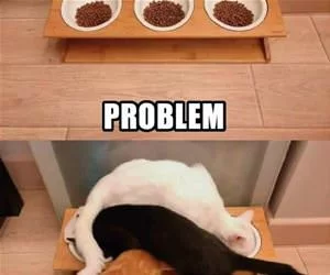 Problems_And_Solutions_s.webp