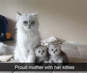 Proud_Mother_s.webp