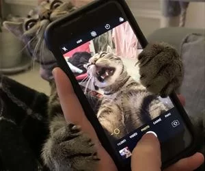 Rawrrr1332_s.webp