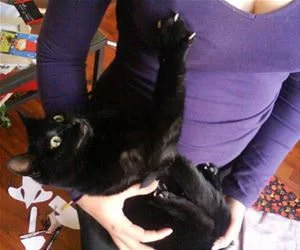 Rawrrrrr9407_s.webp