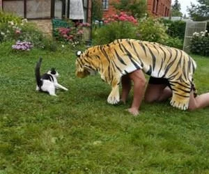 Rawrrrrrrr5771_s.webp