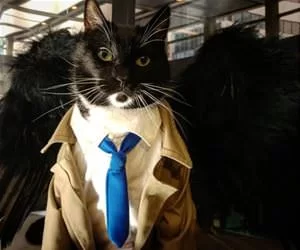 Ready_For_Business4501_s.webp
