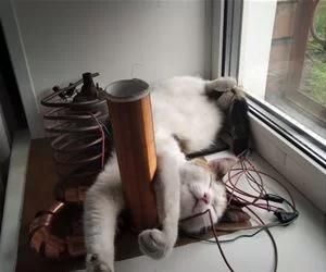 Relax5010_s.webp