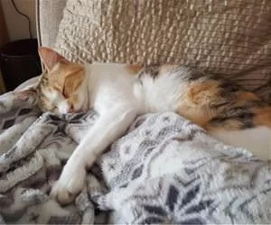 Relaxing5970_s.webp