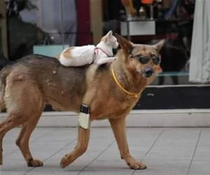 Riding_Around_s.webp