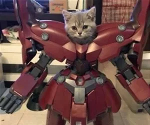 Robo_Cat5090_s.webp