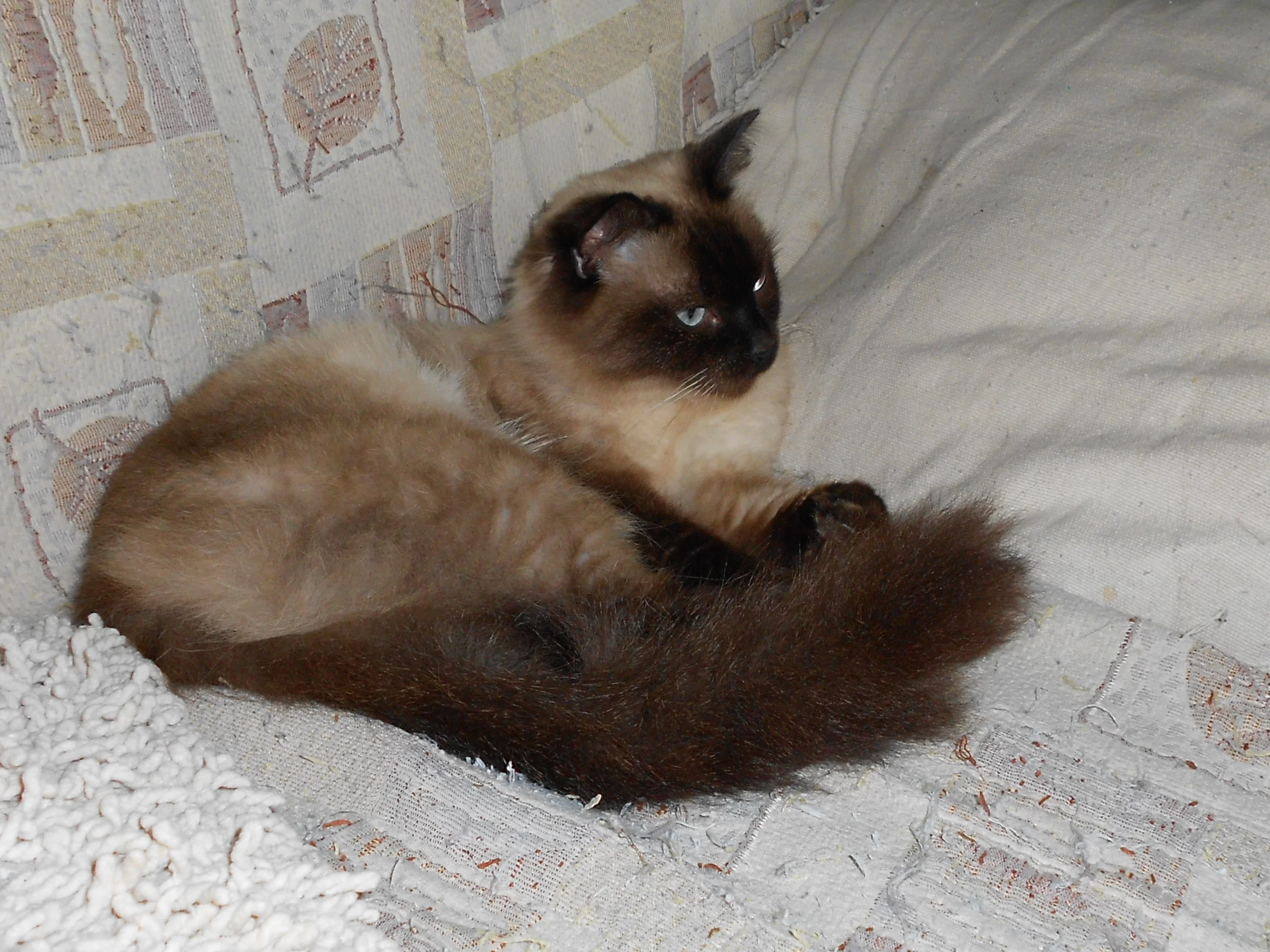 RSCN5923.webp
