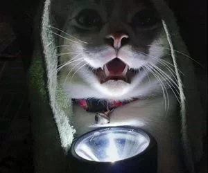 Scary_Story5647_s.webp