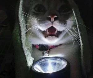 Scary_Story_Time_s.webp