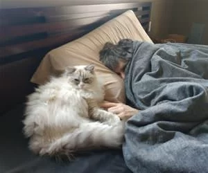 Sharing_The_Pillow_s.webp