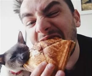 Sharing_Your_Lunch_s.webp