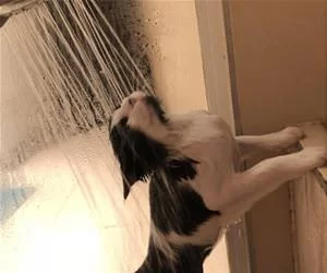 Shower_Time_s.webp