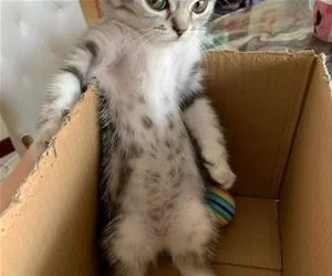 Sitting_In_Here_Relaxing_s.webp