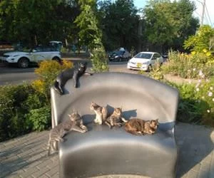 Sitting_On_A_Park_Bench_s.webp