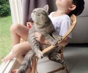 Sitting_Together_s.webp