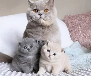 Sitting_With_My_Kids_s.webp