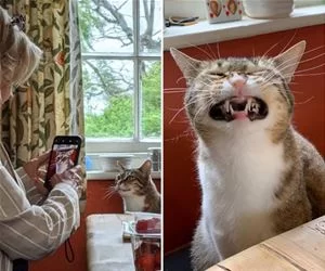 Smiiiile_s.webp