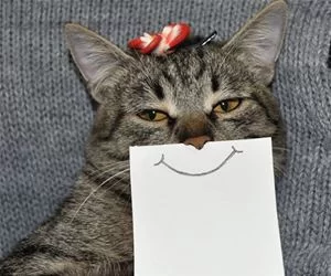 Smile_s.webp