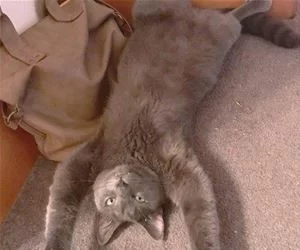 So_Relaxed_Today7581_s.webp