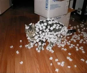 So_Staticky_s.webp