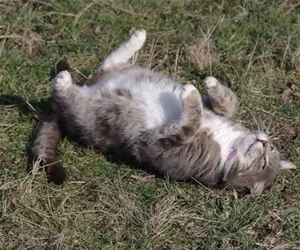 So_Tired_Now_s.webp