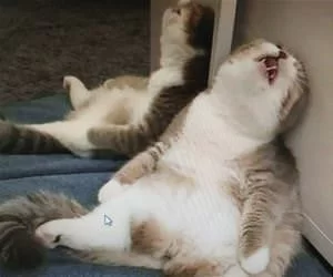 Soooo_Sleepy876_s.webp