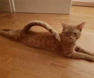 Soooo_Stretched_Out_s.webp