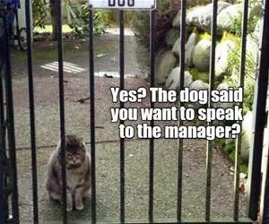 Speak_To_The_Manager_s.webp