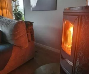 Staying_Warm_Here_s.webp