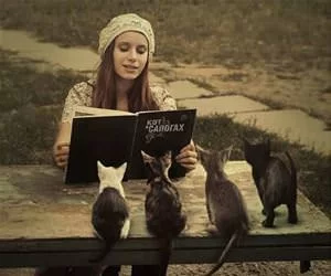 Story_Time_s.webp