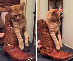 Stuck_In_My_Boot_s.webp