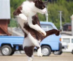 Super_Dance_s.webp