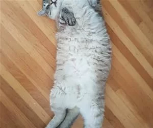 Super_Relaxed_Here_s.webp