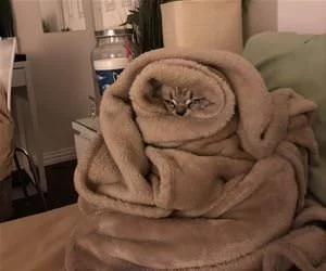 Super_Warm_Today_s.webp
