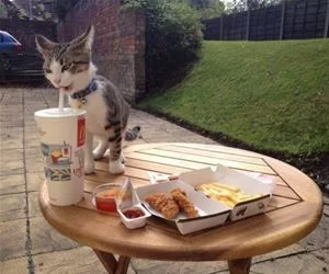 Taking_A_Big_Sip_s.webp