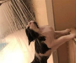 Taking_A_Shower1296_s.webp