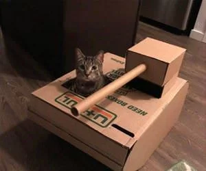 Tank_Time_s.webp