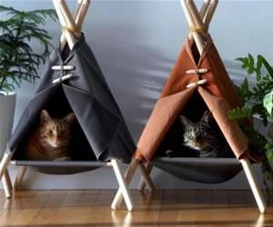 Teepee_Cats5984_s.webp