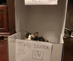 The_Doctor_Is_In4835_s.webp