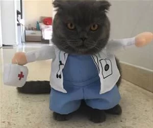 The_Doctor_Is_In7877_s.webp
