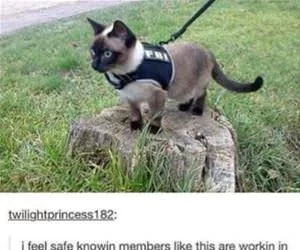 The_Fbi_s.webp